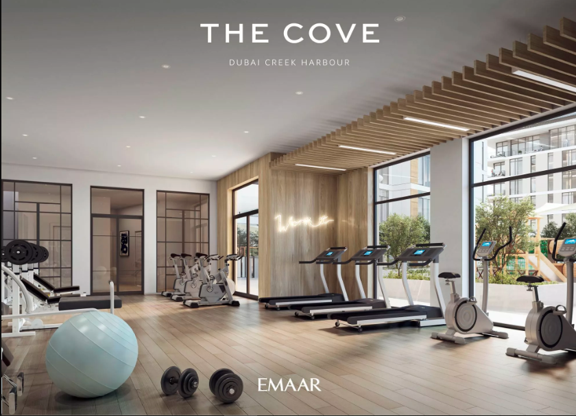 the cove
