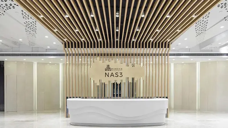 nas 3